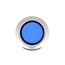 Delock Push Button protruding for Installation 22 mm 5 x solder connection actuator flat plastic LED blue