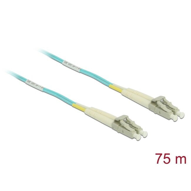 Delock Cable Optical Fibre LC Duplex Multi-mode OM3 75 m
