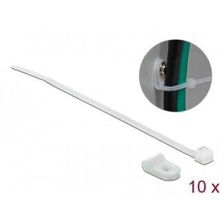 DeLOCK Tie-wraps met montageklem | 100 x 2,5mm | transparant | 10 stuks