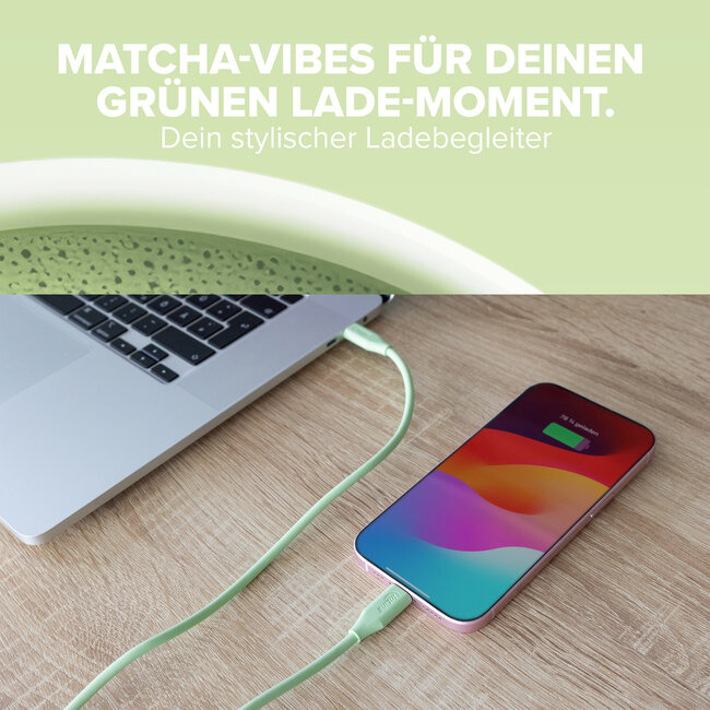InLine® USB 2.0-kabel, USB-C-snelladingskabel 100 W Matcha Latte, 1m