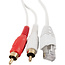BOSSCOM RJ45 - Tulp stereo (m) kabel voor B&O | wit | 5 meter