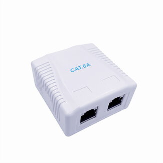 Cablexpert CAT6A FTP LAN-opbouwdoos, 2-poorts