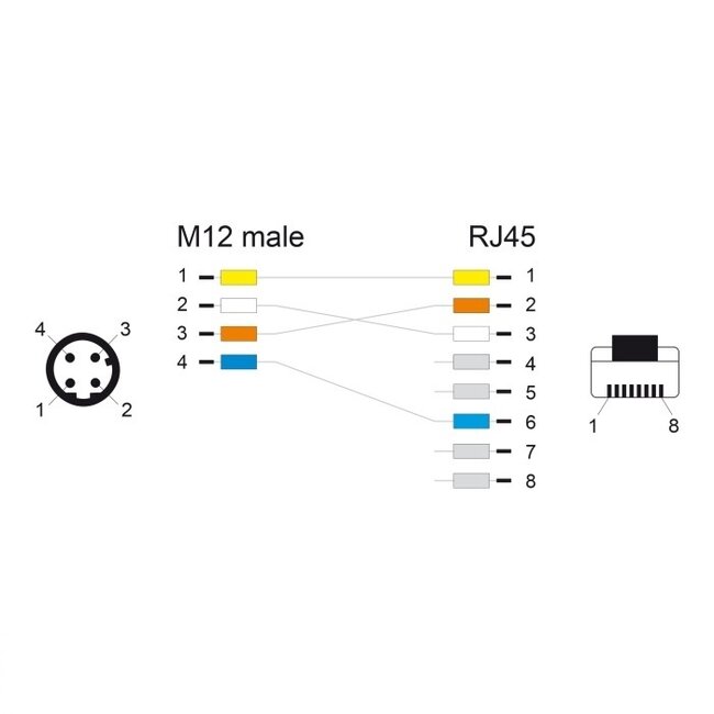 M12 4-pins D-gecodeerd (m) - RJ45 (m) industriële netwerkadapter | CAT5e | PVC