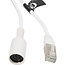 BOSSCOM RJ45 - DIN 8-pins / Powerlink PL8 (v) kabel voor B&O | wit | 1 meter