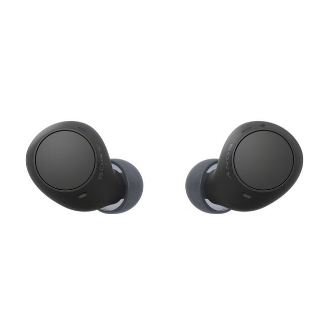 Sony in-ear earphones met microfoon | TWS | Bluetooth | zwart