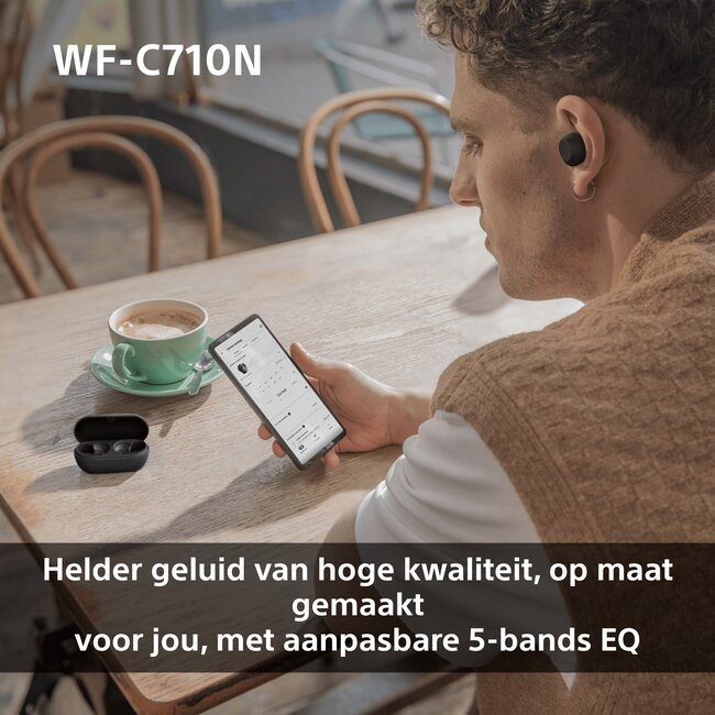Sony in-ear earphones met microfoon | Noise Cancelling | TWS | Bluetooth | zwart