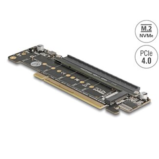 DeLOCK Delock PCI Express 4.0 x16 Riser Card with 2 x M.2 Key M NVMe slot - bifurcation