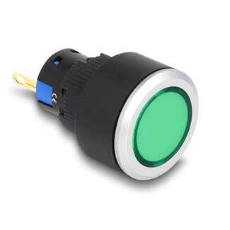 DeLOCK Delock 16 mm Plastic Indicator Light green / solder connection