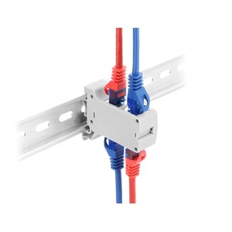 DeLOCK Delock RJ45 Coupler Cat.6A Dual jack to jack for DIN rail mounting grey