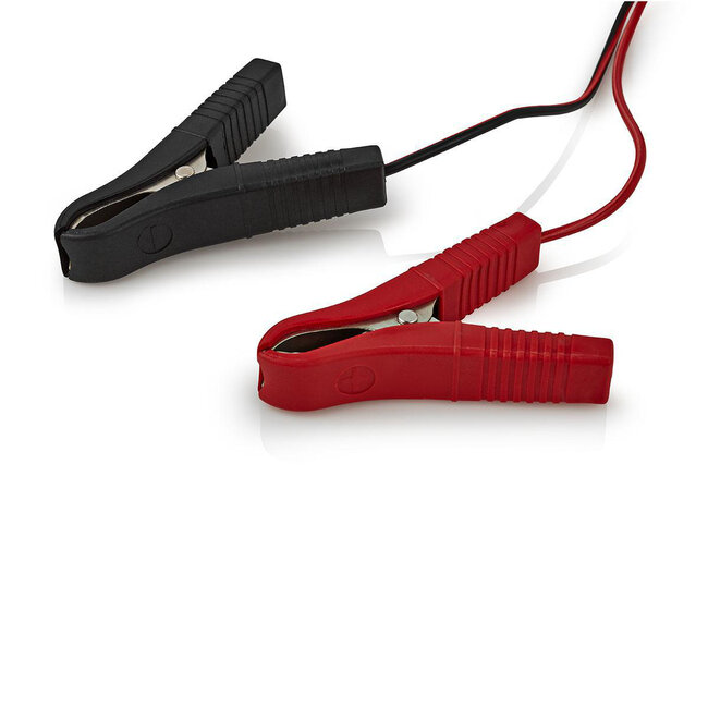 Nedis intelligente loodacculader | 6V/12V