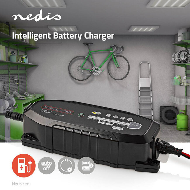 Nedis intelligente loodacculader | 6V/12V