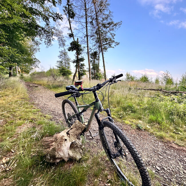 My Wall smartphone fietshouder | tot 6,5 inch | metaal | rood