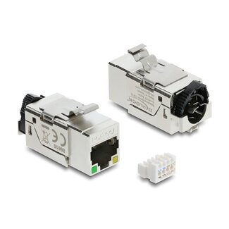 DeLOCK Delock Keystone Module RJ45 jack Cat.6A STP with PoE LED