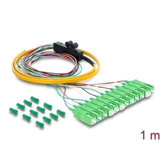 DeLOCK Delock Fibre Optic Pigtail Fanout Cable 12 x SC-APC Simplex male to 12 x open cable ends 1 m