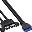 InLine® USB 3.2 Gen.1-kabel, intern moederbord naar 2x USB-A-aansluiting, 0,45 m