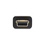InLine® USB 2.0 platte kabel, USB A male naar Mini-B male 5-pin, zwart, 2m