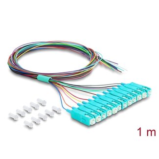 DeLOCK Delock Fibre Optic Pigtail Fanout Cable 12 x SC-UPC Simplex male to 12 x open cable ends 1 m