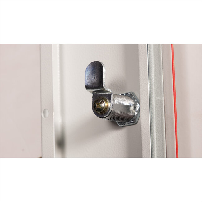 ROLINE 19” wandbehuizing Basic Plus 18U, 600x450 BxT grijs