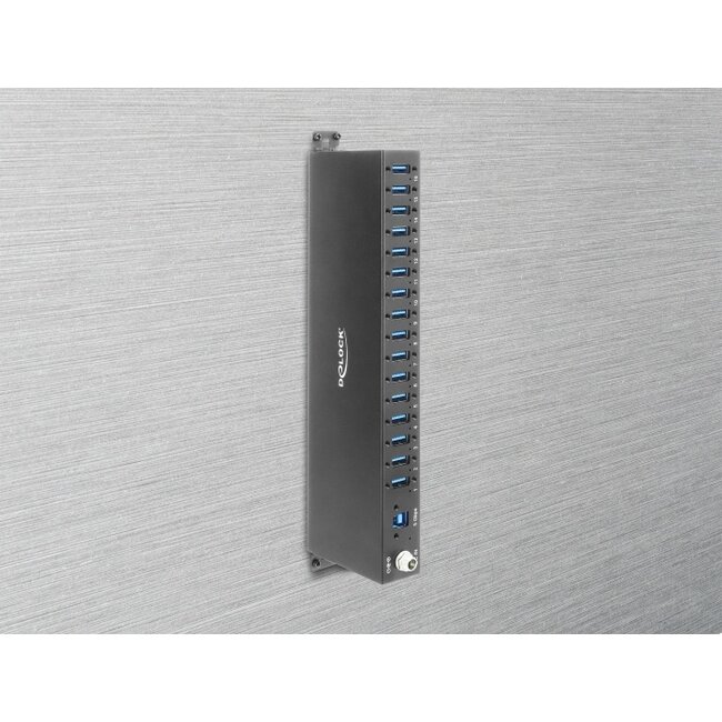 Delock Industry Hub 16 x USB 5 Gbps Type-A with 8 kV ESD protection and DIN rail mounting