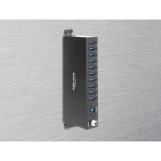 Delock Industry Hub 10 x USB 5 Gbps Type-A with 8 kV ESD protection and DIN rail mounting
