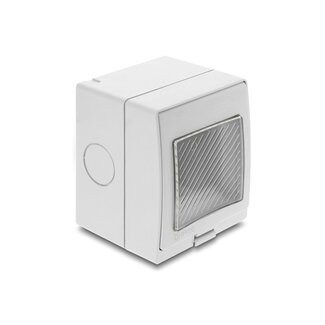 DeLOCK Delock Easy 45 Surface-mounted Housing IP55 waterproof 2 Port