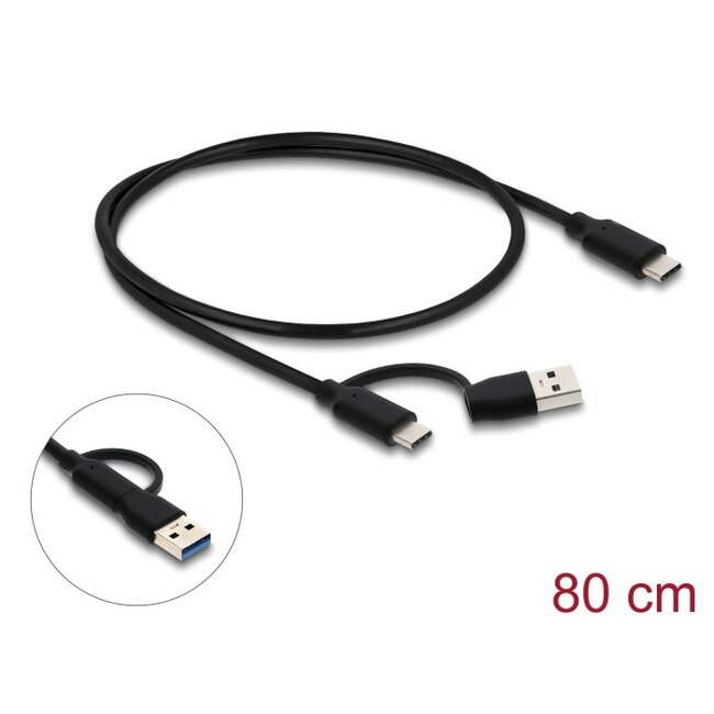 Delock USB 10 Gbps Hub with 2 USB Type-C™ and 2 USB Type-A Ports