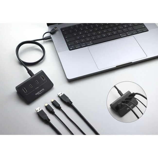 Delock USB 10 Gbps Hub with 2 USB Type-C™ and 2 USB Type-A Ports