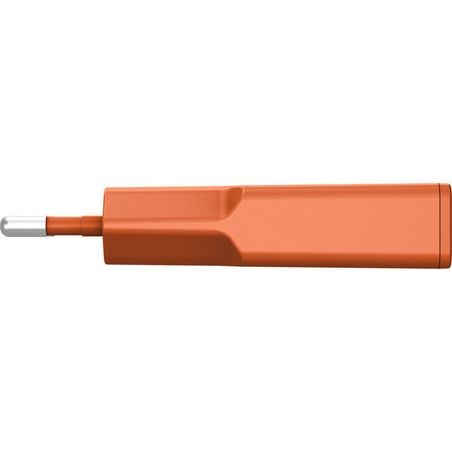InLine® USB-C lader, 30 W, GaN, Dual USB-C, PD/PPS, Papaja