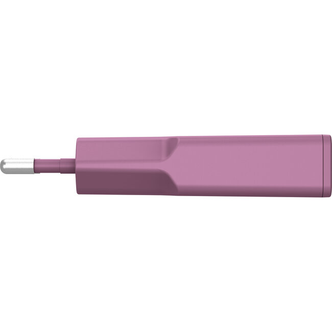 InLine® USB-C lader, 30 W, GaN, Dual USB-C, PD/PPS, Wilde bes