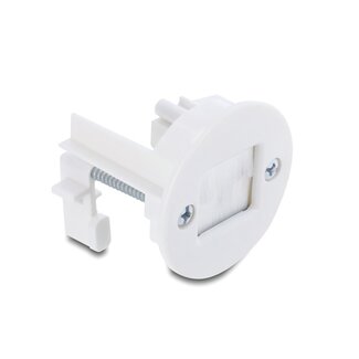 DeLOCK Delock Cable Bushing with brush for wall mounting / desktop mounting white