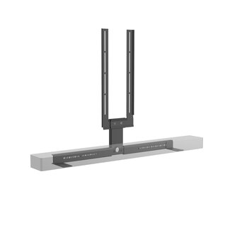 Cavus Accessoire Punt Frame voor TV vloerstandaard [Harman Kardon Enchant]