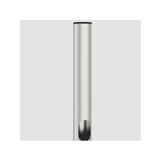 Cavus Kolom 150cm - 60mm RVS