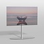 Vloerstandaard ORBIT rvs 80 cm VESA 400x300