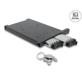 DeLOCK Delock Mobile Rack for 2 x M.2 NMVe SSD with SFF-8654 connector for 12.7 mm Slim ODD Bay