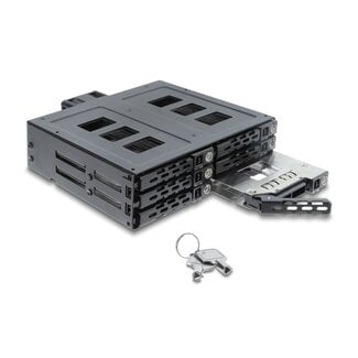 DeLOCK Delock 5.25″ Mobile Rack for 6 x 2.5″ SATA or SAS HDD / SSD with lock