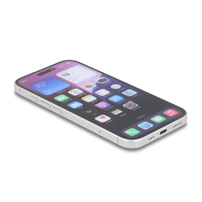 Delock Screen Protector Privacy Glass for iPhone 16 Pro / Tempered-Glass Anti Spy 2 Ways privacy protection with easy installation tool