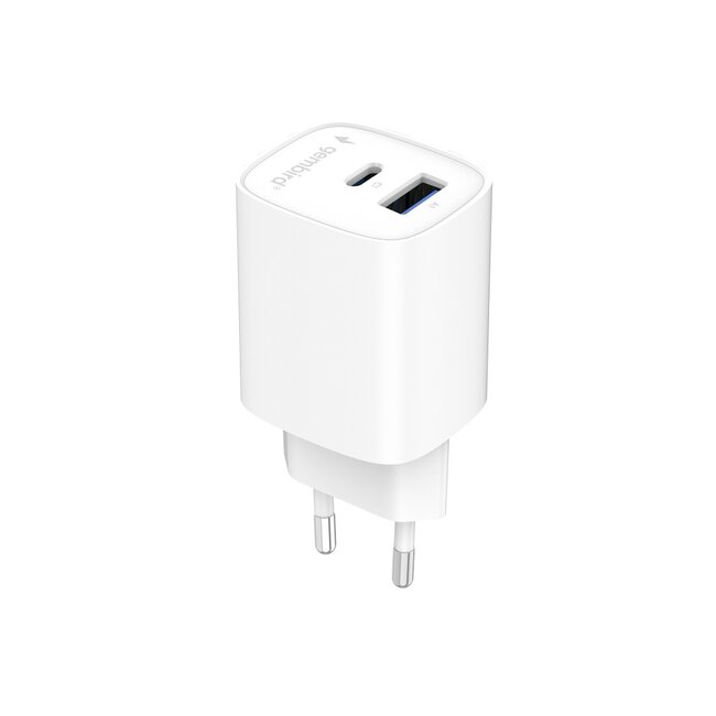 2-poorts USB snellader 45 W