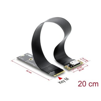 DeLOCK Delock M.2 Key M to 1 x OCuLink SFF-8612 Converter with 20 cm cable