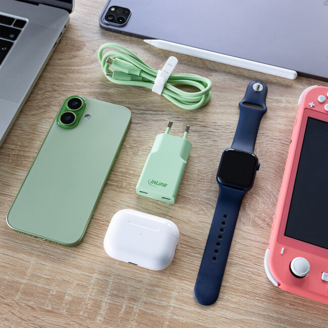 InLine® USB-C lader, 30 W, GaN, Dual USB-C, PD/PPS, Matcha Latte/Groen