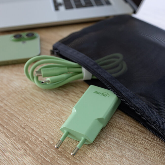 InLine® USB-C lader, 30 W, GaN, Dual USB-C, PD/PPS, Matcha Latte/Groen