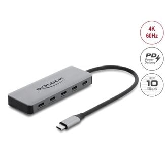 DeLOCK Delock 2 Port USB 10 Gbps Hub and 2 Port USB-C™ 4K with PD 3.0 100 Watt