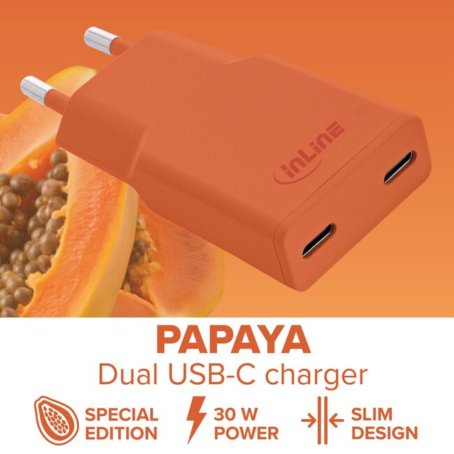 InLine USB lader | 2x USB-C PD | GaN | 30W | oranje