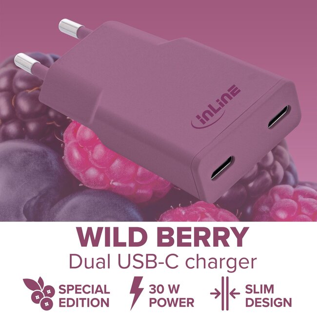 InLine USB lader | 2x USB-C PD | GaN | 30W | paars