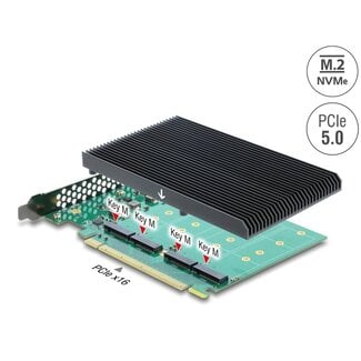 DeLOCK Delock PCI Express 5.0 x16 Card to 4 x internal NVMe M.2 Key M with heat sink - Bifurcation