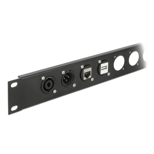 Delock D-Type Module MPO female to female silver
