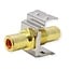 Tulp Keystone module - Tulp (v) | audio rechts (rood) | verguld | metaal