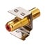 Tulp Keystone module - Tulp (v) | audio rechts (rood) | verguld | metaal