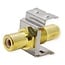 Tulp Keystone module - Tulp (v) | audio links (wit) | verguld | metaal