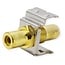 Tulp Keystone module - Tulp (v) | video (geel) | verguld | metaal