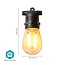 Nedis SmartLife decoratieve buitenverlichting | 10 LED-lampen | Wi-Fi | warm-wit | IP65